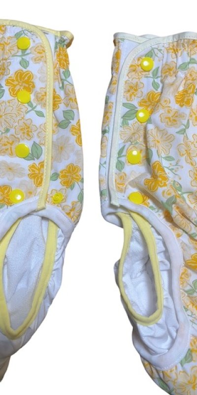 縁取りはクリーム色（右）ですが、M´1枚、4Lと5Lの縁取りが薄めの黄色（左）です。