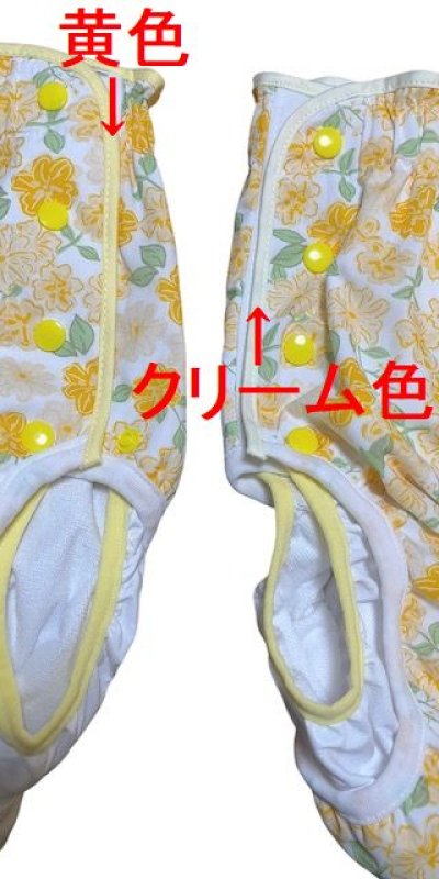 縁取りはクリーム色（右）ですが、M´1枚、4Lと5Lの縁取りが薄めの黄色（左）です。