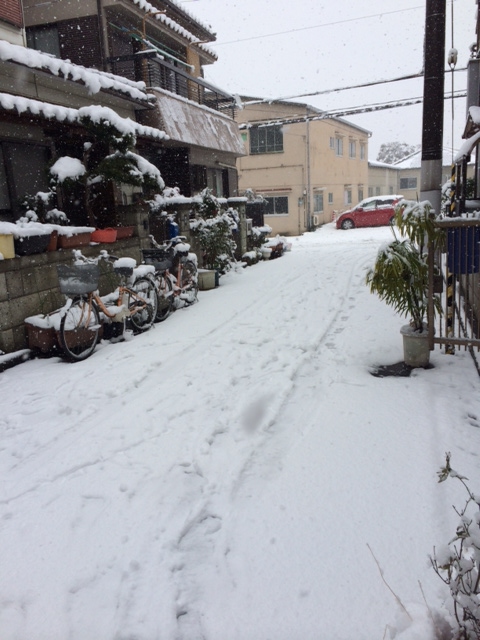 雪、すごいです