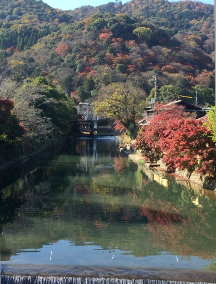 嵐山に行ってきました♬