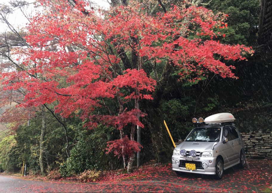 高野山の紅葉♪