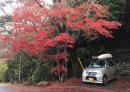 画像: 高野山の紅葉♪