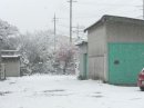 画像: 大阪は雪です♪