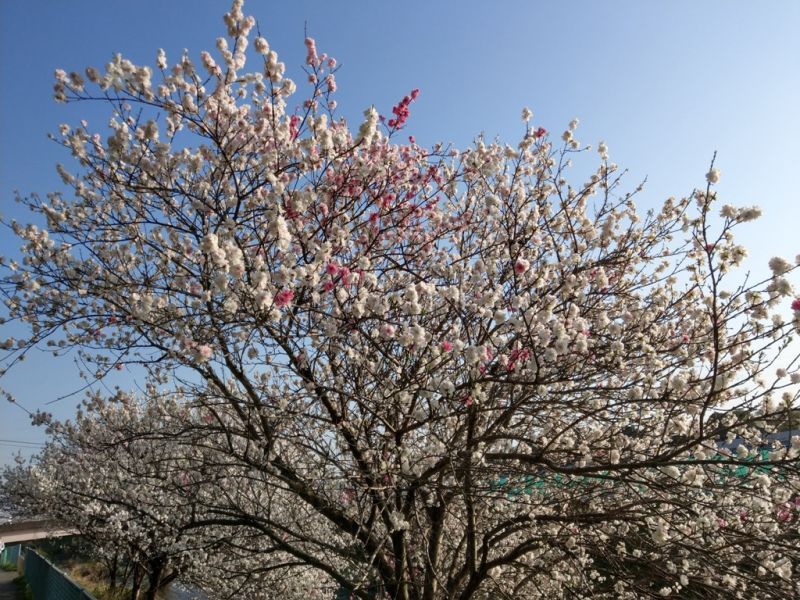 画像: お写真頂きました♪