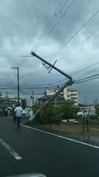画像: 台風すごかったです・汗
