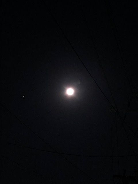 画像: 満月が綺麗です